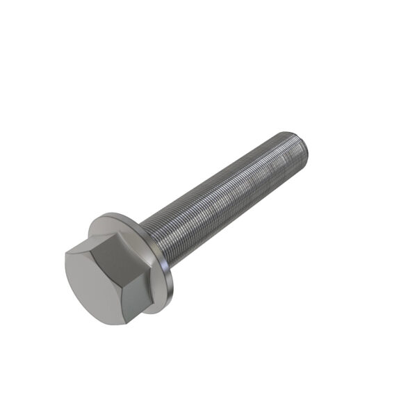 Hexagonal Head Flanged Screw, M10 X 60