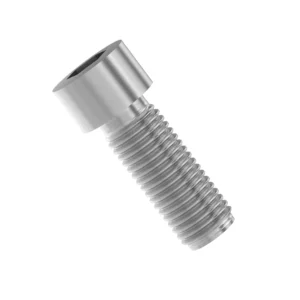 Cylindrical Head Screw, M10 X 30