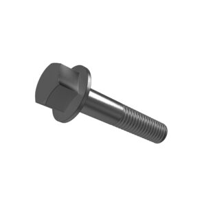 Hexagonal Head Flanged Screw, M20 X 100