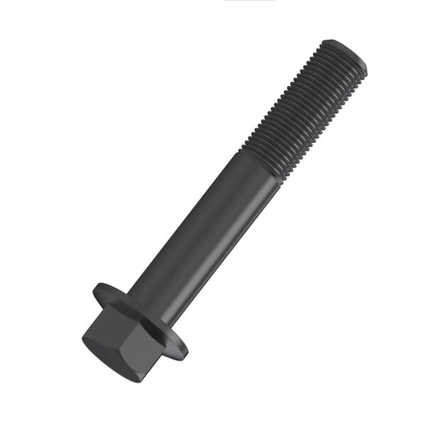 Hexagonal Head Flanged Screw, M10 X 55
