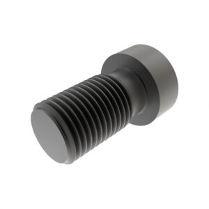 Cylindrical Head Screw, M10 X 20
