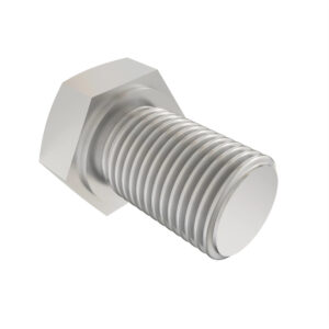Hexagonal Head Cap Screw, M6 X 10