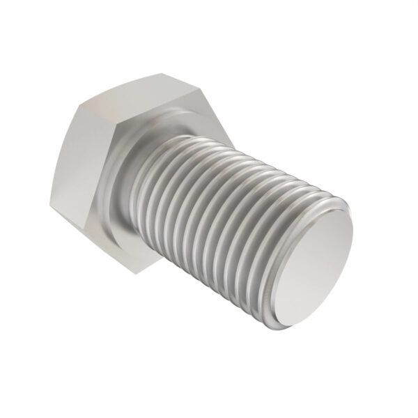 Hexagonal Head Cap Screw, M6 X 10