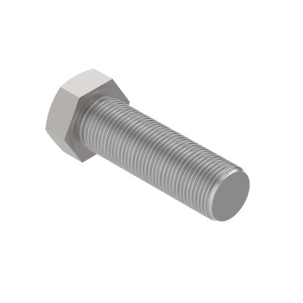 Hexagonal Head Screw, M16 X 55