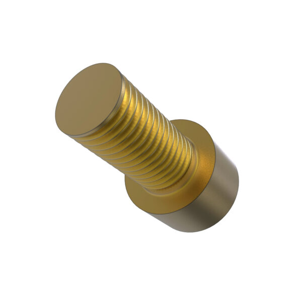 Hexagonal Socket Head Screw, M10 X 20