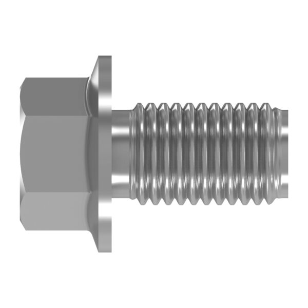 Hexagonal Head Screw, M10 X 20