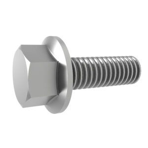 Hexagonal Head Flanged Screw, M10 X 30