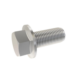 Hexagonal Head Flanged Screw, M12 X 30