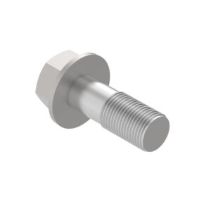 Hexagonal Head Flanged Screw, M20 X 55