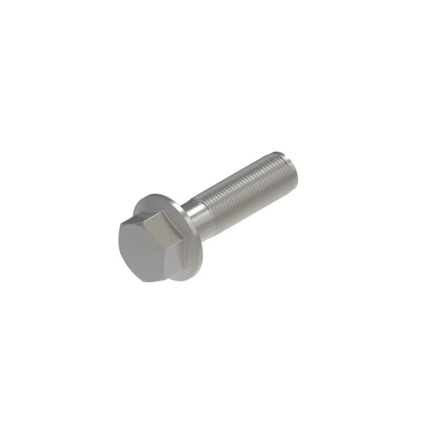 Hexagonal Head Flange Bolt, M16 X 60