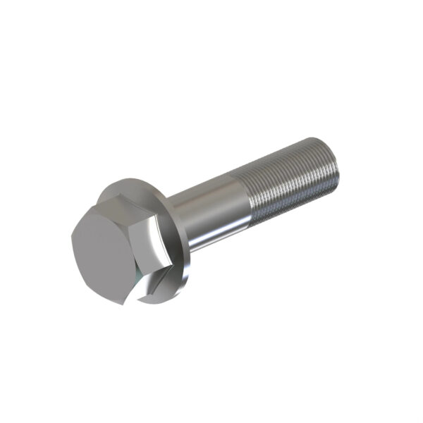Hexagonal Head Flanged Screw, M20 X 80