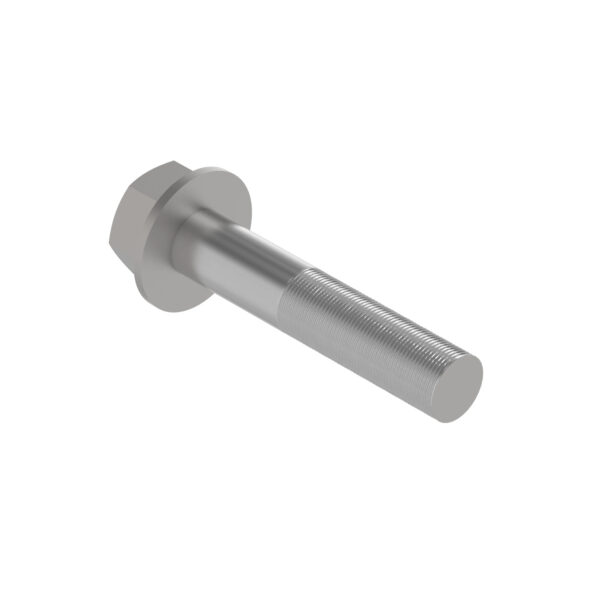Hexagonal Head Flanged Screw, M20 X 100