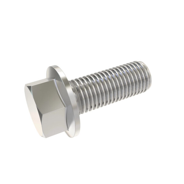 Hexagonal Head Flanged Screw, M16 X 45