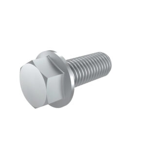 Hexagonal Head Flanged Screw, M8 X 25