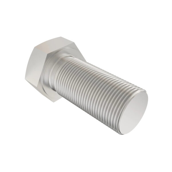 Hexagonal Head Cap Screw, M20 X 45