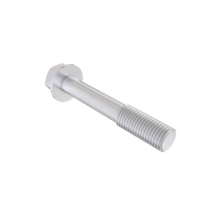 Hexagonal Head Flanged Screw, M8 X 55