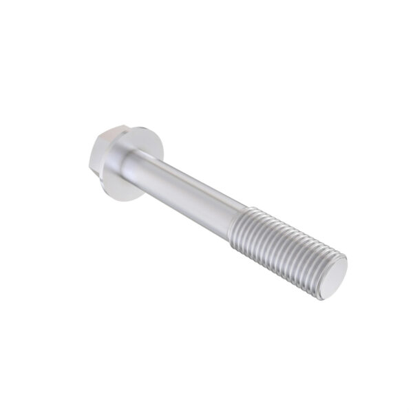 Hexagonal Head Flanged Screw, M8 X 55