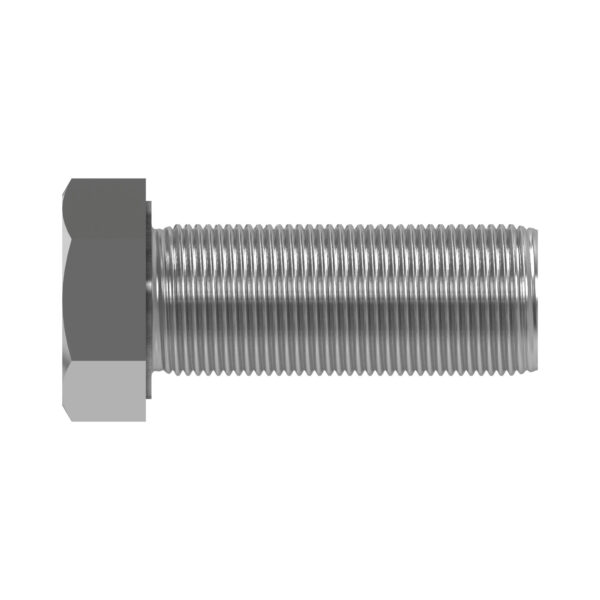 Hexagonal Head Screw, M20 X 55