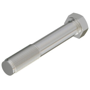 Hexagonal Head Screw, M16 X 100