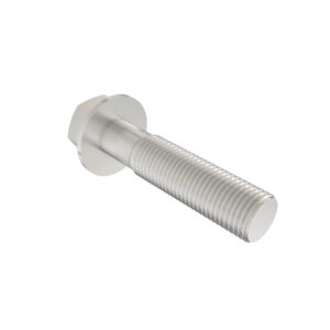 Hexagonal Head Flanged Screw, M12 X 55