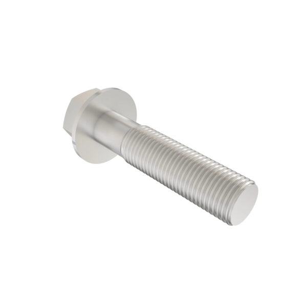 Hexagonal Head Flanged Screw, M12 X 55