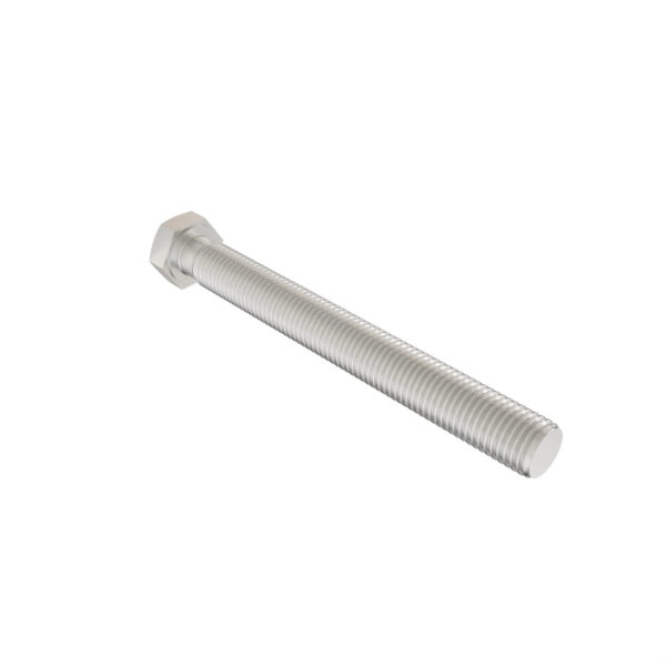 Hexagonal Head Screw, M10 X 100