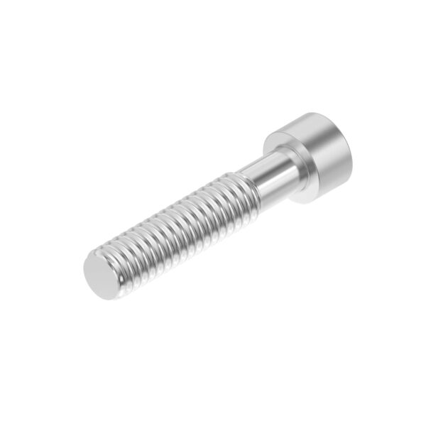 Hexagonal Socket Head Screw, M10 X 55