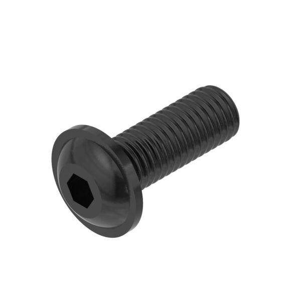 Hexagonal Socket Head Flange Screw, M8 X 25