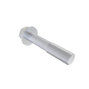 Hexagonal Head Flanged Screw, M10 X 55