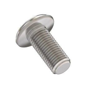 Hexagonal Socket Head Flange Screw, M6 X 20