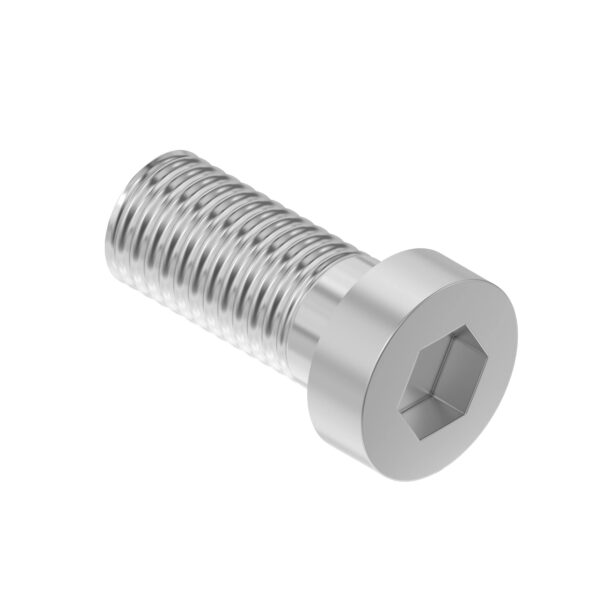 Cylindrical Head Screw, M12 X 35