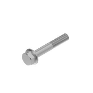 Hexagonal Head Flanged Screw, M12 X 70