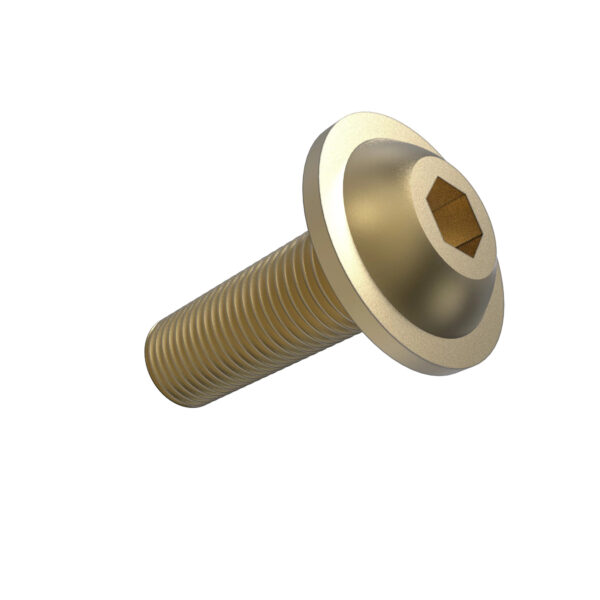 Hexagonal Socket Head Flange Screw, M10 X 30
