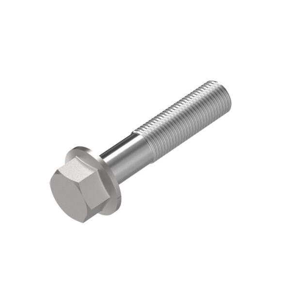 Hexagonal Head Flanged Screw, M10 X 50