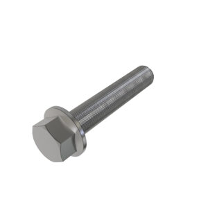 Hexagonal Head Flanged Screw, M6 X 50