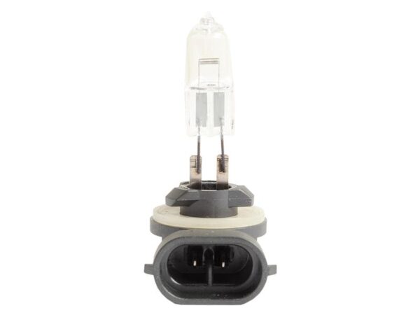 Bulb