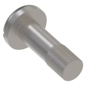 Cylindrical Head Screw, 5/16" X 1"