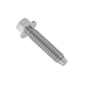 Hexagonal Flanged Head Self-Tapping Screw, M6 X 30