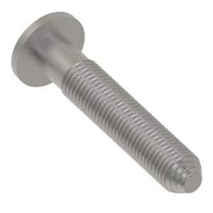 Self-Tapping Screw, M5 X 30