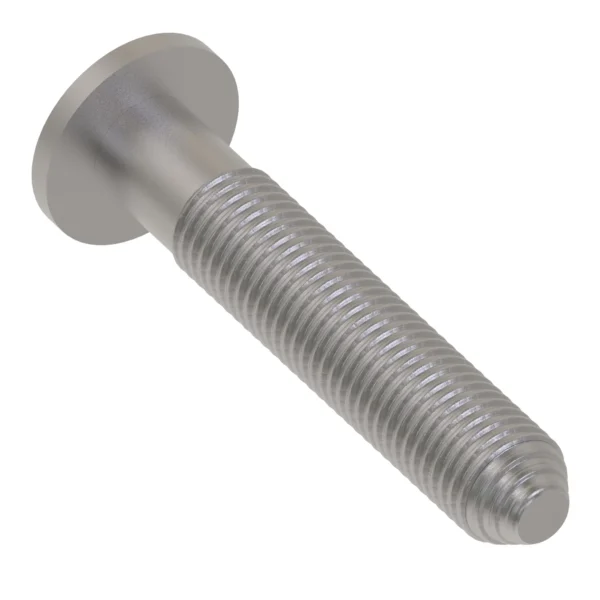 Self-Tapping Screw, M5 X 30