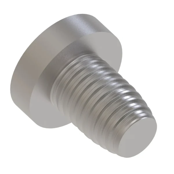 Cylindrical Head Self-Tapping Screw, M5 X 8