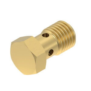Hollow Screw