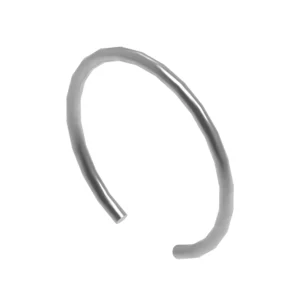 Snap Ring