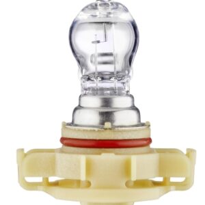 Halogen-Bulb - PSX24W - Standard - 12V - 24W - Quantity: 1