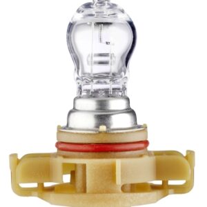 Halogen-Bulb - PS24W - Standard - 12V - 24W - Quantity: 1