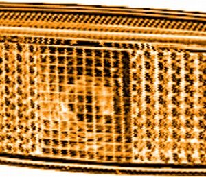 Side Marker Light - Halogen - 12V