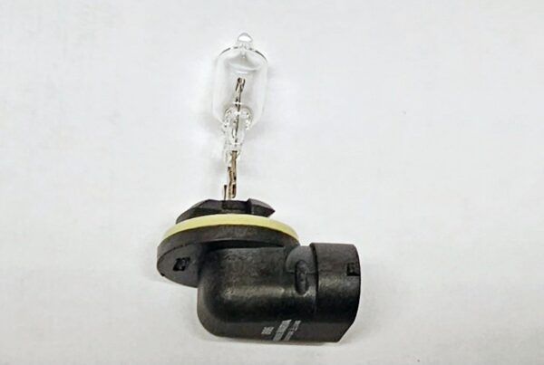 Bulb 12V 50W