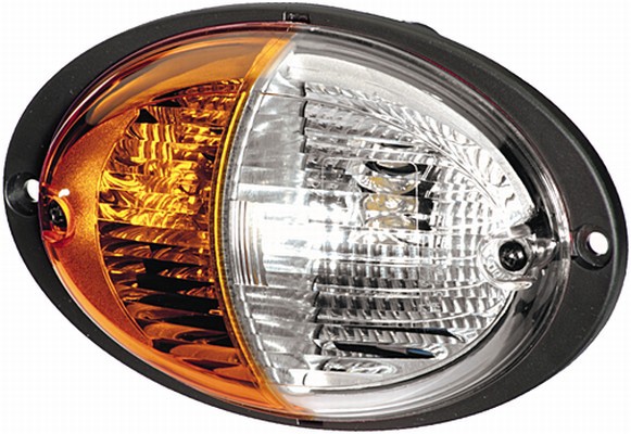 Indicator Light Rh