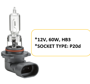 Bulb 12V 60W