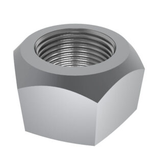 Hexagonal Lock Nut, M20